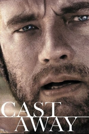 Cast Away 2000 Hindi Dual Audio 720p BluRay [1GB] ESubs - Movierulz