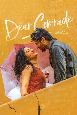 Dear Comrade 2019 (Hindi - Telugu) Dual Audio 480p UnCut HDRip 450MB - Movierulz