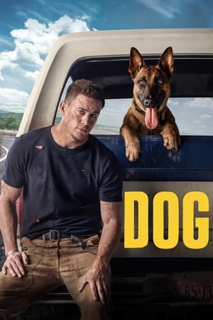 Dog (2022) Hindi Dual Audio HDRip 720p – 480p - Movierulz