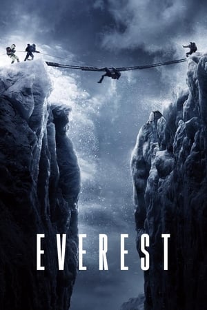 Everest (2015) Hindi Dual Audio 480p BluRay 450MB - Movierulz