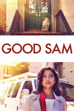 Good Sam 2019 Hindi Dual Audio 480p Web-DL 300MB - Movierulz