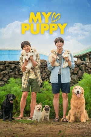 My Heart Puppy (2022) Hindi Dual Audio HDRip 720p – 480p - Movierulz
