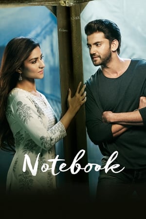 Notebook (2019) Hindi Movie 720p HDRip x264 [1.4GB] - Movierulz