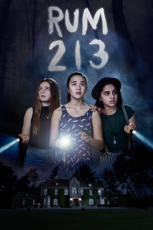 Rum 213 2017 Hindi Dual Audio 480p BluRay 280MB - Movierulz