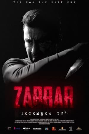 Zarrar (2022) Urdu Movie Pre-DVDRip 720p – 480p - Movierulz
